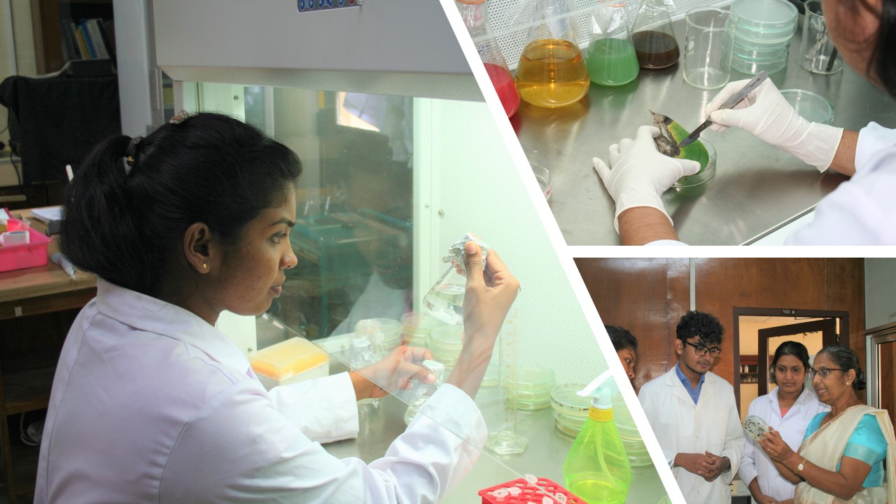 Agriculture Biology | Undergraduate - Advanced Module