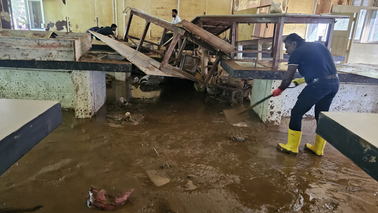 Urgent Need to Rebuild